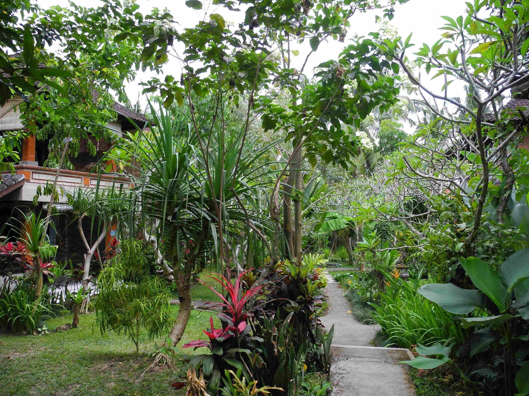 Recep Bungalow Ubud Extérieur photo