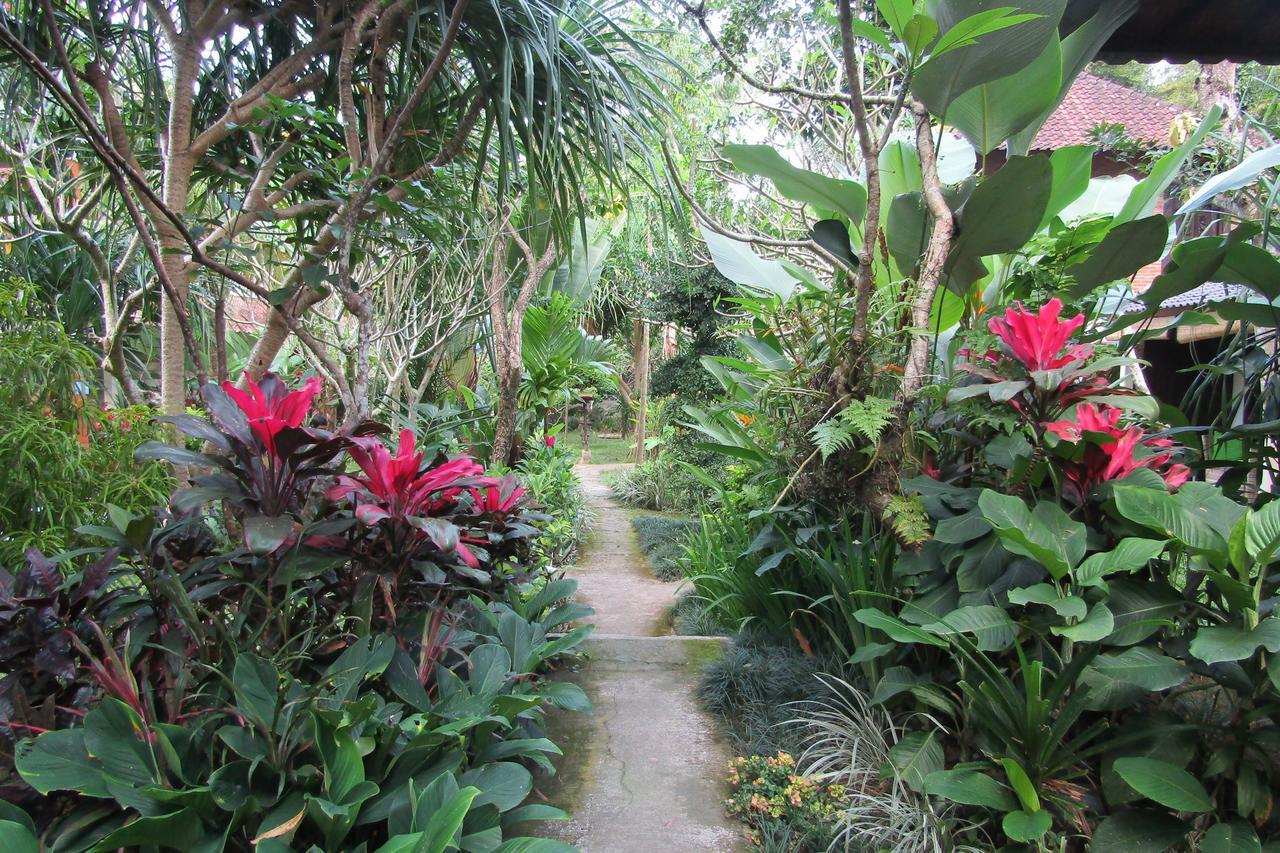 Recep Bungalow Ubud Extérieur photo